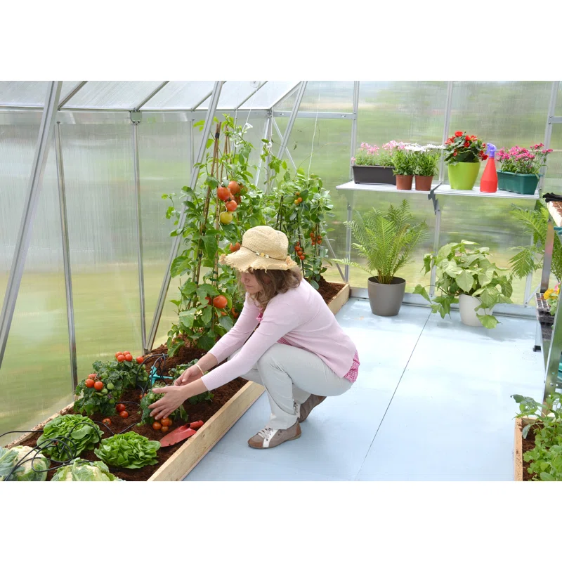 Palram - Canopia Essence 95.4 in W Hobby Greenhouse